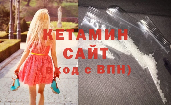 хмурый Аркадак