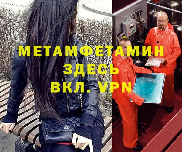 хмурый Аркадак