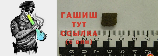 хмурый Аркадак