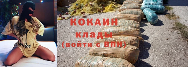 хмурый Аркадак