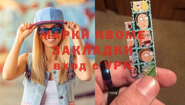 хмурый Аркадак