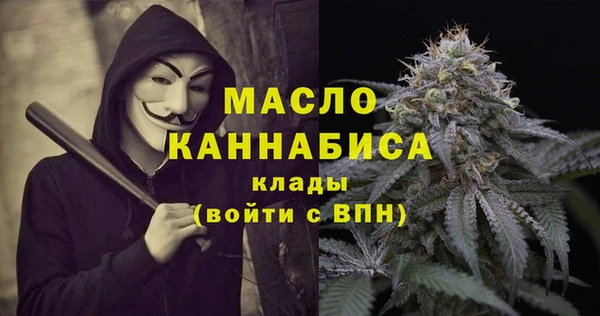 хмурый Аркадак