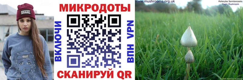 Псилоцибиновые грибы ЛСД  ОМГ ОМГ ссылки  Чкаловск 
